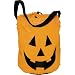 Pumpkin 12in x 10in Tote Bag