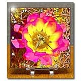 Decorative colorful garden botanic plant SW Southwest Desert cactus yellow gold red flower abstract - 6x6 Desk Clock