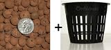 phalaenopsis pots:3 Inch Net Pot (6 Pack) and Hydroton Clay Pebbles (2 Pounds) Combo