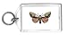 Keychain with galapagos, butterfly