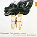 Charpentier - Trois histoires sacr�es