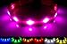 NEW - GoDoggie-GLOW - USB Rechargeable LED Dog Safety Collar - 7 Colours & 4 Sizes - Intro Offer - Super-Bright LEDs Glow & Flash - Connects to Devices to Recharge - No Batteries Required - Great Fun & Improved Dog Safety - Pink Medium