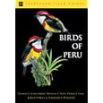 Birds of Peru (Princeton Field Guides) by  Thomas S. Schulenberg, Douglas F. Stotz, Daniel F. Lane, and John P. O'Neill