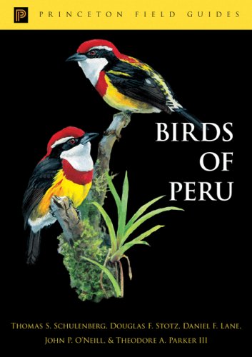 City Travel Guides Discounted  Books : Birds of Peru (Princeton Field Guides)