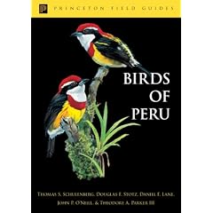 Birds of Peru (Princeton Field Guides)