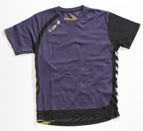 Hummel Herren Trikot TECHNICAL GOLD, purple reign/black, XXXL, 03-407-3566_3566 Preisvergleich