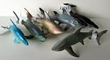 Shark Sea Creature Toy Animal Figures set of 6IMAGE