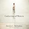 Gathering of Waters
