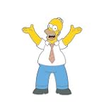 TomTom Homer