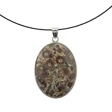 Fossil Coral Agate Inlay Pendant - 32x42mm, Oval - 17'' Necklace Included