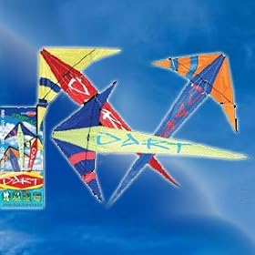 Dart Childrens Stunt Kite