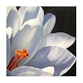 Marianna 104Original Hand-Painted Oil on Canvas by Carl Sebastian- 32x32"