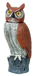 Dalen Gardeneer RH-04 Rotating Head Great Horned Owl