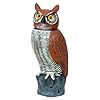 Amazon.com : Easy Gardener 8021 Garden Defense Electronic Sensor Owl