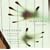 Lost Songs of a Rhineland Harper [Hybrid SACD]