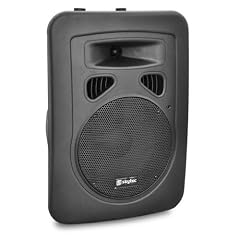 Skytec 20cm (8") aktiv PA-Lautsprecher Boxen XLR Mikrofon Anschluss (200W, Line-Out, Flansch) transportabel