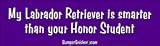 My Labrador Retriever is smarter than you honor student - funny bumper stickers (Medium)