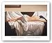 Late September by Edson Campos 30.5"x22.5" Art Print Poster