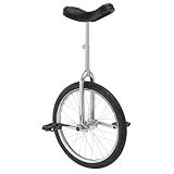 Avenir Deluxe Unicycle (20-Inch Wheel) (Sports)
