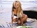 Pamela Anderson Poster Print A3 size