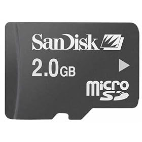 41b3X5wpd%2BL. SL500 AA280  SanDisk 2GB MicroSDHC Memory Card for Blackberry Tour, Storm, Bold, Curve 8300 8310 8320 8330 8350i 8900, Pearl 8100 8110 8120 8130, 8800 8820 8830 Smartphone