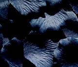 1000 Silk Rose Petals Wedding Favors - Solid Colors - Navy Blue