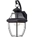 Quoizel Lighting, Newbury Outdoor Wall Sconce, NY8316Z