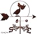 PELICAN Weathervane