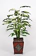 Artificial Camille Dieffenbachia Floor Plant