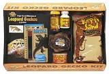 DELUXE LEOPARD GECKO KIT