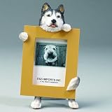 Siberian Husky Dog Photo Picture Frame