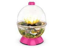 WonderBubble - Pink
