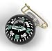 Specialty Compass Fisheye Pin-On