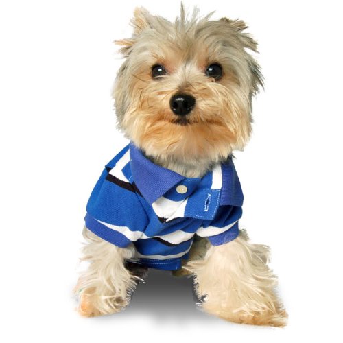 designer clothes