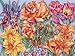 Reeves -  Paint by Numbers  Senior  Floral