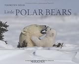 Little Polar Bears