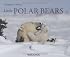 Little Polar Bears