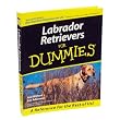 Labrador Retrievers for Dummies