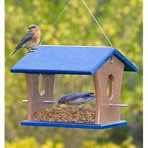 Birdfeeders