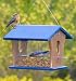 Duncraft Eco-Bluebird Mealworm Feeder