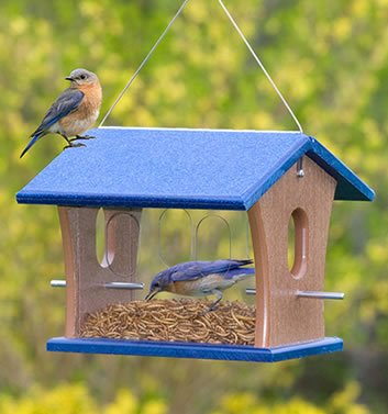 Duncraft Eco-Bluebird Mealworm Feeder