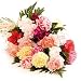 Favourite Carnations in brights - Send Fresh Flowers From Our Value Range