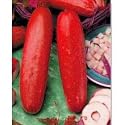 Hmong Red Cucumber - 10 Seeds