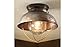 Ceiling Lodge Rustic Country Western, Weathered Copper, Light Fixture