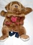 College Mascot Oklahoma University Top Daug Back Pack