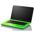 Sony Vaio CA3S1E/G 35,6 cm (14 Zoll) Notebook (Intel Core i3 2330M, 2,2GHz, 4GB RAM, 500GB HDD, AMD HD 6470M, DVD, Win 7 HP) gr�n