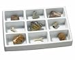 GeoSafari Fossil Collection