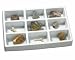 GeoSafari Fossil Collection