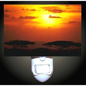 African Sunset Decorative Night Light