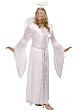 Angel Velvet Plus Size Costume Dress Size 16-24